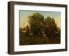 Old Oaks at Sunset (Oil on Canvas)-Henry Pember Smith-Framed Giclee Print