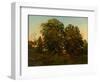 Old Oaks at Sunset (Oil on Canvas)-Henry Pember Smith-Framed Giclee Print