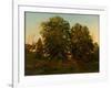 Old Oaks at Sunset (Oil on Canvas)-Henry Pember Smith-Framed Giclee Print