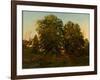 Old Oaks at Sunset (Oil on Canvas)-Henry Pember Smith-Framed Giclee Print