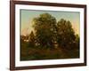 Old Oaks at Sunset (Oil on Canvas)-Henry Pember Smith-Framed Giclee Print