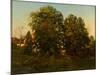 Old Oaks at Sunset (Oil on Canvas)-Henry Pember Smith-Mounted Giclee Print