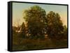 Old Oaks at Sunset (Oil on Canvas)-Henry Pember Smith-Framed Stretched Canvas