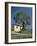 Old Olive Tree in the Garden of a Village House in Deya, Majorca, Balearic Islands, Spain, Europe-Tomlinson Ruth-Framed Photographic Print