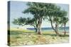 Old Olive Trees, Bordighera-Edwin Bale-Stretched Canvas