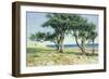 Old Olive Trees, Bordighera-Edwin Bale-Framed Giclee Print