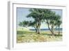 Old Olive Trees, Bordighera-Edwin Bale-Framed Giclee Print