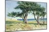 Old Olive Trees, Bordighera-Edwin Bale-Mounted Giclee Print