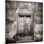 Old Omani Studded Timber Door, Stonetown, Zanzibar, Tanzania, East Africa-Lee Frost-Mounted Photographic Print