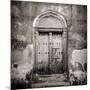 Old Omani Studded Timber Door, Stonetown, Zanzibar, Tanzania, East Africa-Lee Frost-Mounted Photographic Print