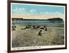 Old Orchard Beach, Maine - View of the Pier-Lantern Press-Framed Art Print