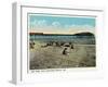 Old Orchard Beach, Maine - View of the Pier-Lantern Press-Framed Art Print