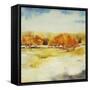 Old Orchard-Jill Martin-Framed Stretched Canvas