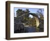 Old Packhorse Bridge, Carrbridge, Highlands, Scotland, United Kingdom, Europe-Gary Cook-Framed Photographic Print