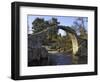 Old Packhorse Bridge, Carrbridge, Highlands, Scotland, United Kingdom, Europe-Gary Cook-Framed Photographic Print