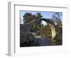 Old Packhorse Bridge, Carrbridge, Highlands, Scotland, United Kingdom, Europe-Gary Cook-Framed Photographic Print