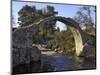 Old Packhorse Bridge, Carrbridge, Highlands, Scotland, United Kingdom, Europe-Gary Cook-Mounted Photographic Print