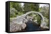 Old Packhorse Bridge, Carrbridge, Highlands, Scotland-phbcz-Framed Stretched Canvas