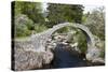 Old Packhorse Bridge, Carrbridge, Highlands, Scotland-phbcz-Stretched Canvas