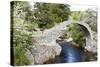 Old Packhorse Bridge, Carrbridge, Highlands, Scotland-phbcz-Stretched Canvas