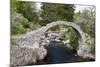 Old Packhorse Bridge, Carrbridge, Highlands, Scotland-phbcz-Mounted Photographic Print