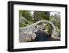 Old Packhorse Bridge, Carrbridge, Highlands, Scotland-phbcz-Framed Photographic Print