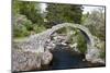 Old Packhorse Bridge, Carrbridge, Highlands, Scotland-phbcz-Mounted Photographic Print