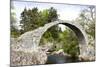 Old Packhorse Bridge, Carrbridge, Highlands, Scotland-phbcz-Mounted Photographic Print