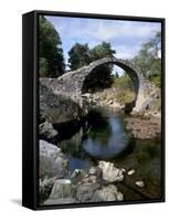 Old Packhorse Bridge, over River Dulnain Built 1707, Carrbridge, Cairngorms National Park, Scotland-Patrick Dieudonne-Framed Stretched Canvas