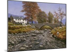 Old Packhorse Bridge-Bill Makinson-Mounted Giclee Print