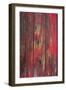 Old Paint I-Kathy Mahan-Framed Photographic Print