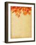 Old Paper with Autumn Leaves-A_nella-Framed Art Print