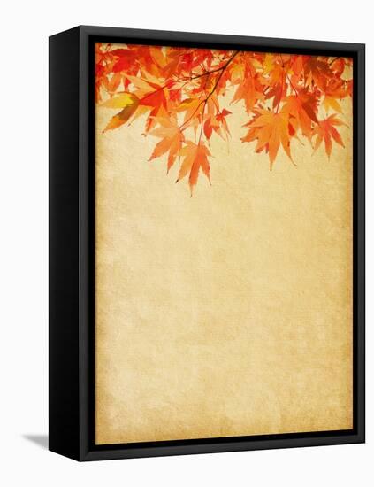 Old Paper with Autumn Leaves-A_nella-Framed Stretched Canvas