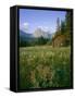 Old Park Service cabin in the Cut Bank Valley of Glacier National Park in Montana-Chuck Haney-Framed Stretched Canvas