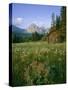 Old Park Service cabin in the Cut Bank Valley of Glacier National Park in Montana-Chuck Haney-Stretched Canvas