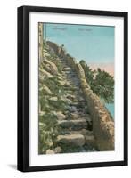 Old Path, Capri-null-Framed Art Print