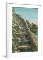 Old Path, Capri-null-Framed Art Print