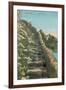 Old Path, Capri-null-Framed Art Print