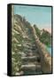 Old Path, Capri-null-Framed Stretched Canvas