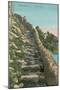 Old Path, Capri-null-Mounted Premium Giclee Print