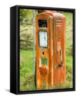 Old Petrol Pump, Taoroa Junction, Rangitikei, North Island, New Zealand-David Wall-Framed Stretched Canvas