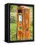 Old Petrol Pump, Taoroa Junction, Rangitikei, North Island, New Zealand-David Wall-Framed Stretched Canvas