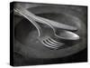 Old Pewter Flatware on an Old Pewter Plate-Steve Lupton-Stretched Canvas