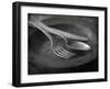 Old Pewter Flatware on an Old Pewter Plate-Steve Lupton-Framed Photographic Print