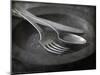 Old Pewter Flatware on an Old Pewter Plate-Steve Lupton-Mounted Photographic Print