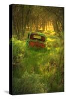 Old Pickup Cab in the Deep Woods-Vincent James-Stretched Canvas