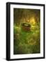 Old Pickup Cab in the Deep Woods-Vincent James-Framed Photographic Print