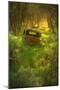 Old Pickup Cab in the Deep Woods-Vincent James-Mounted Photographic Print
