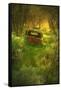 Old Pickup Cab in the Deep Woods-Vincent James-Framed Stretched Canvas