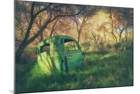 Old Pickup in the Woods, Central Valley-Vincent James-Mounted Photographic Print